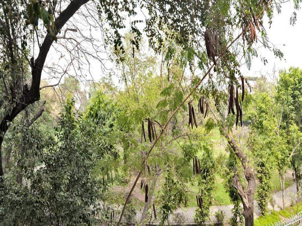 Haveli Hauz Khas Bed & Breakfast New Delhi Room photo