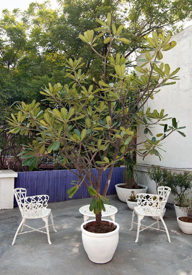 Haveli Hauz Khas Bed & Breakfast New Delhi Exterior photo